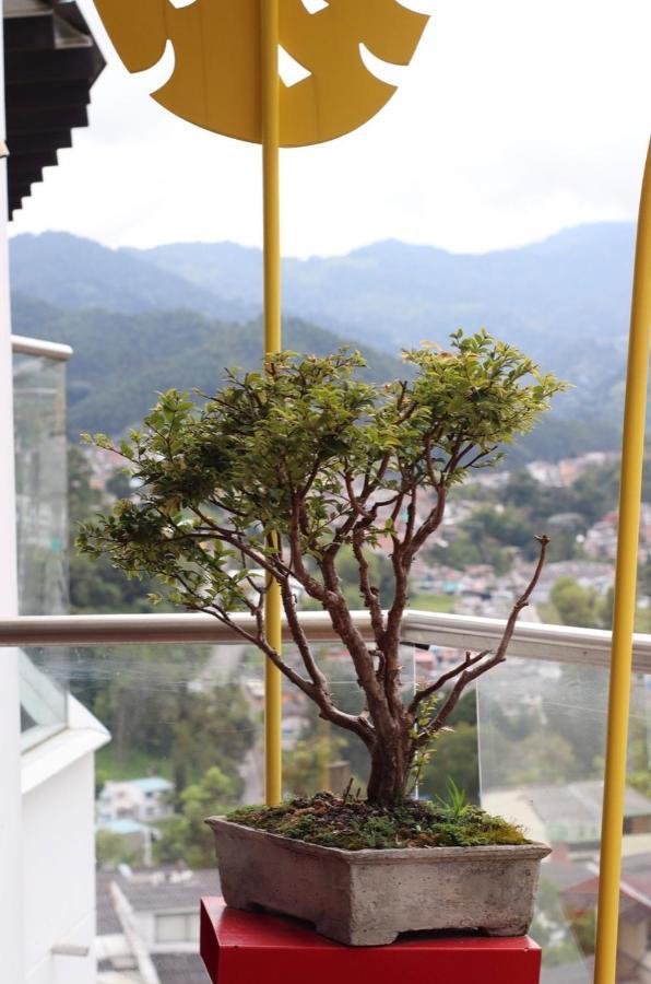 Apartahotel Millennials, Moderno Y Acogedor En El Sector Del Cable Y Cerca Al Estadio Manizales Dış mekan fotoğraf